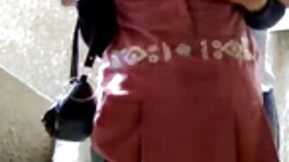プレジャーパレスでの夜のビデオ（マヤヒルズ） 動画 エッチ 女性 - 2022-02-23 02:31:51